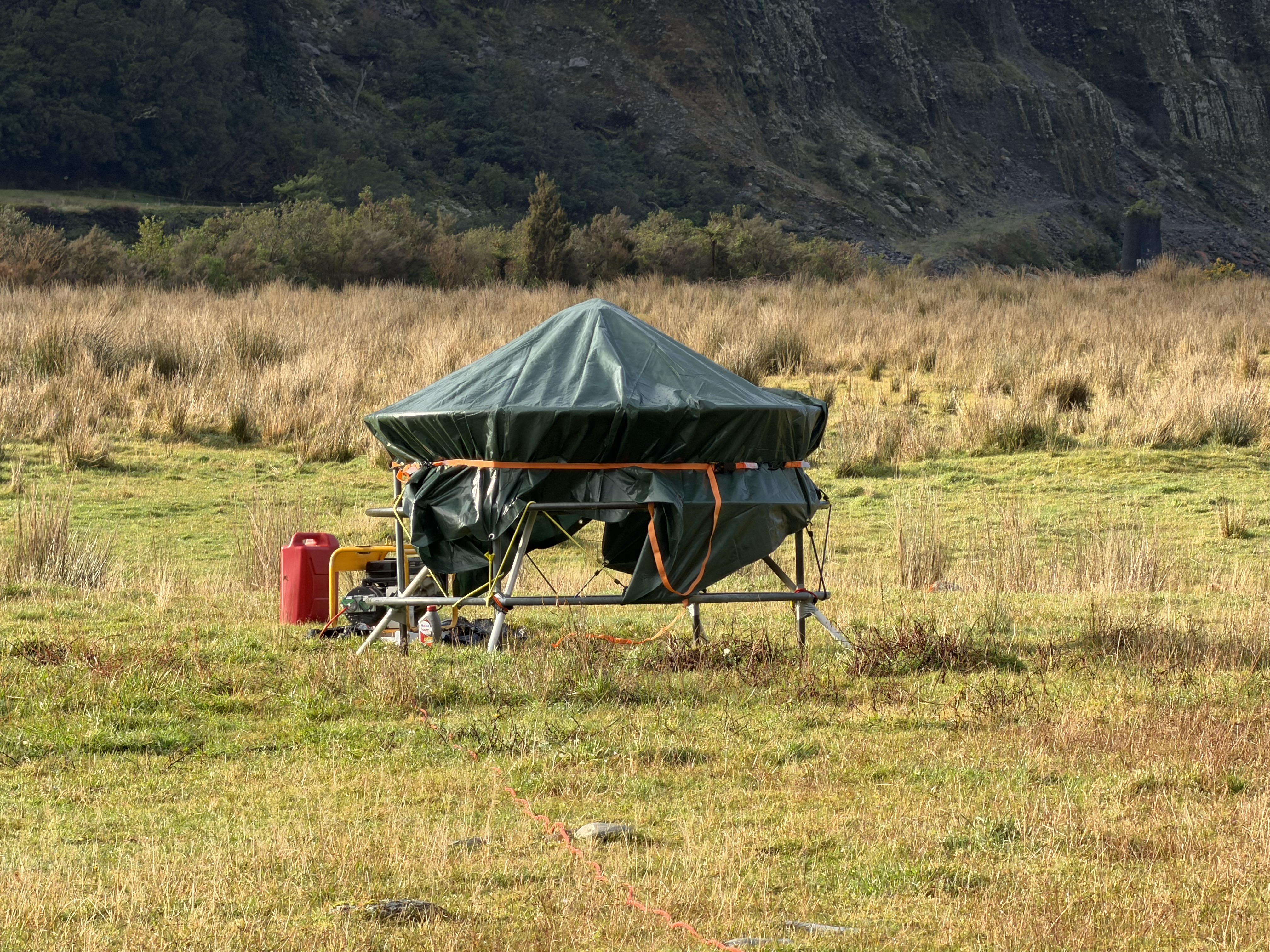 Generator during the New Zealand DFDP experiment